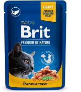 Cat Food Pouch Brit Premium Cat Food Pouch with Salmon & Trout 100g - Kapsička pro kočky