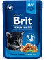 Cat Food Pouch Brit Premium Cat Pouches Chunks for Kitten 100g - Kapsička pro kočky