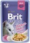 Cat Food Pouch Brit Premium Cat Delicate Fillets in Jelly with Chicken 85g - Kapsička pro kočky