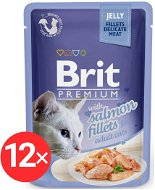 Brit Premium Cat Delicate Fillets in Jelly with Salmon 12 × 85 g - Cat Food Pouch