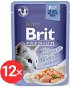 Brit Premium Cat Delicate Fillets in Jelly with Salmon 12× 85 g - Kapsička pre mačky