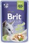 Brit Premium Cat Delicate Fillets in Jelly with Trout 85g - Cat Food Pouch