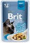 Brit Premium Cat Delicate Fillets in Gravy with Chicken 85g - Cat Food Pouch