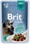 Cat Food Pouch Brit Premium Cat Delicate Fillets in Gravy with Beef 85g - Kapsička pro kočky