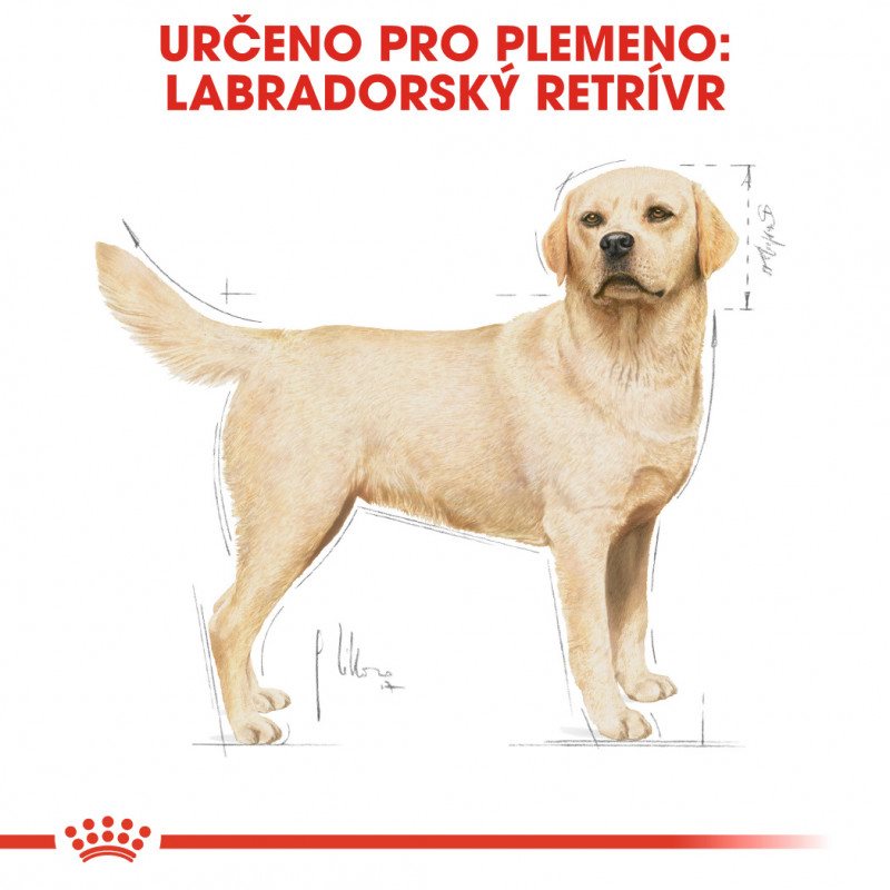 Royal canin shop labrador 12 kg