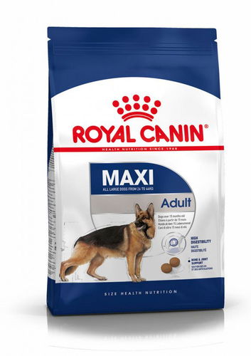 royal maxi adult