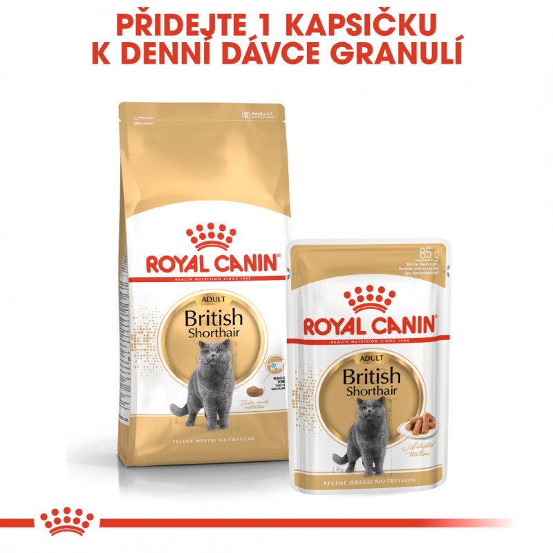 Royal canin store feline british shorthair