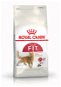 Royal Canin Fit 10 10 kg - Cat Kibble