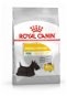 Royal Canin Mini Dermacomfort 3 kg - Granule pro psy