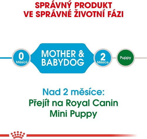 Mini Starter - Mother & Babydog