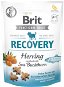 Brit Care Dog Functional Snack Recovery Herring 150g - Dog Treats