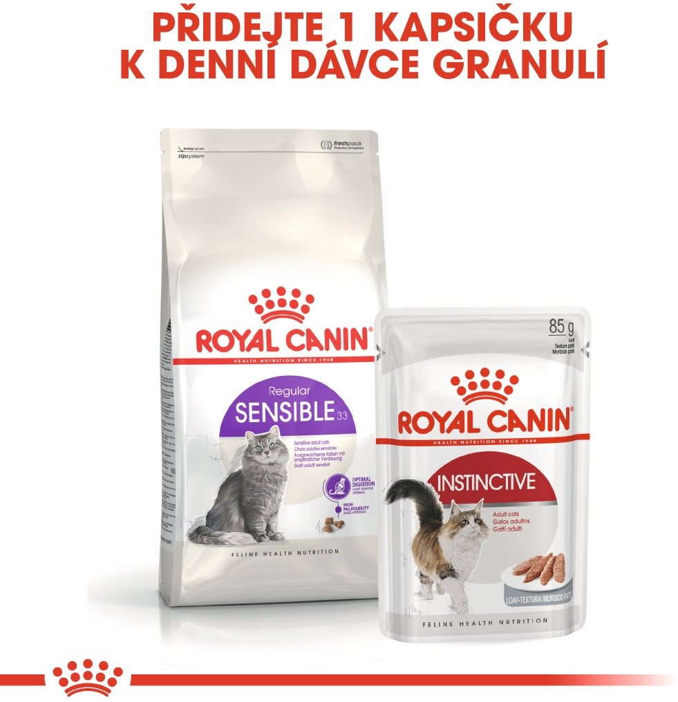 Regular sensible best sale royal canin