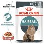 Royal Canin Hairball Care 12×85 g - Kapsička pre mačky