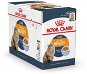 Royal Canin Intense Beauty Jelly 12× 85 g - Cat Food Pouch