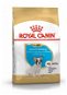 Royal Canin French Bulldog Puppy 3kg - Kibble for Puppies