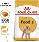 Dog Kibble Royal Canin Poodle Adult 1.5kg - Granule pro psy