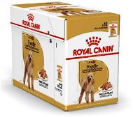 Royal Canin Poodle 12× 85 g - Kapsička pre psov