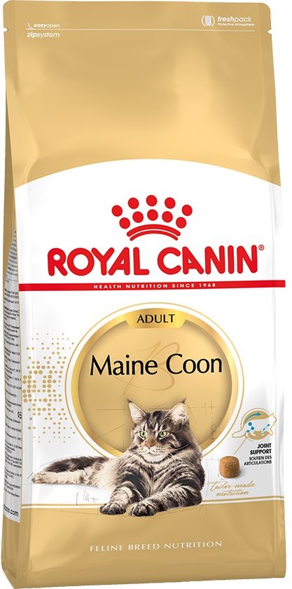 Royal canin maine coon best sale kitten food