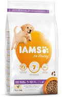 IAMS Dog Puppy Large Chicken 3kg - Kibble for Puppies