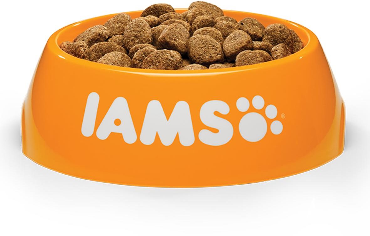 IAMS Dog Puppy Large Chicken 12kg IAMS Dog food container 15kg Pet Food Set Alza.cz