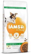 IAMS Dog Adult Small & Medium Chicken 12 kg - Granuly pre psov