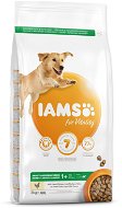 IAMS Dog Adult Large Chicken 3 kg - Granuly pre psov