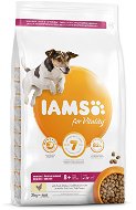 IAMS Dog Senior Small & Medium Chicken 3kg - Dog Kibble