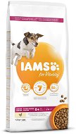 IAMS Dog Senior Small & Medium Chicken 12 kg - Granule pro psy