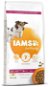 IAMS Dog Senior Small & Medium Chicken 12 kg - Granuly pre psov