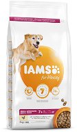 IAMS Dog Senior Large Chicken 3 kg - Granuly pre psov