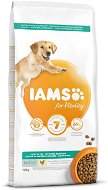 IAMS Dog Adult Weight Control Chicken 12kg - Dog Kibble