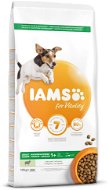 IAMS Dog Adult Small & Medium Lamb 12kg - Dog Kibble