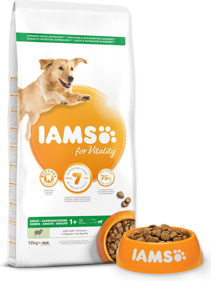 Iams dog best sale food lamb