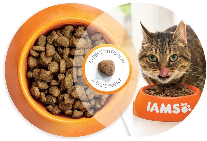 IAMS Cat Adult Weight Control Sterilized Chicken 2kg IAMS Cat