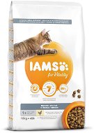 IAMS Cat Adult Indoor Chicken 10 kg - Granule pre mačky