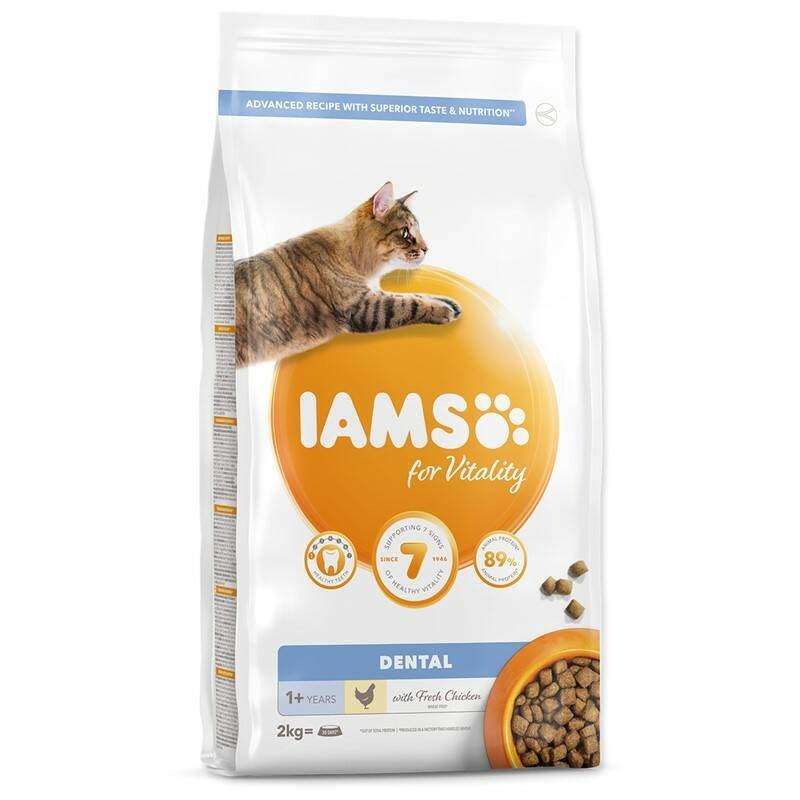 Iams dental 2024