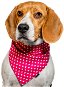 Chiweto Betty L, Pink, Hearts - Dog Scarves