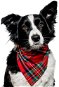 Chiweto Deluxe Bella S, Red Blocks - Dog Scarves