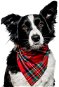 Chiweto Deluxe Bella L, Red Blocks - Dog Scarves