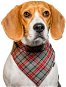 Chiweto Bruno S, Grey-red Squares - Dog Scarves