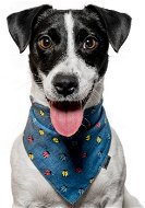 Chiweto Deluxe Polly S, Ladybird - Dog Scarves