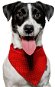 Chiweto Akita M, Red, Gold Dot - Dog Scarves