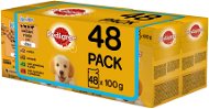 Pedigree Vital Protection Meat Selection with Rice in Jelly 48 x 100g - Dog Food Pouch