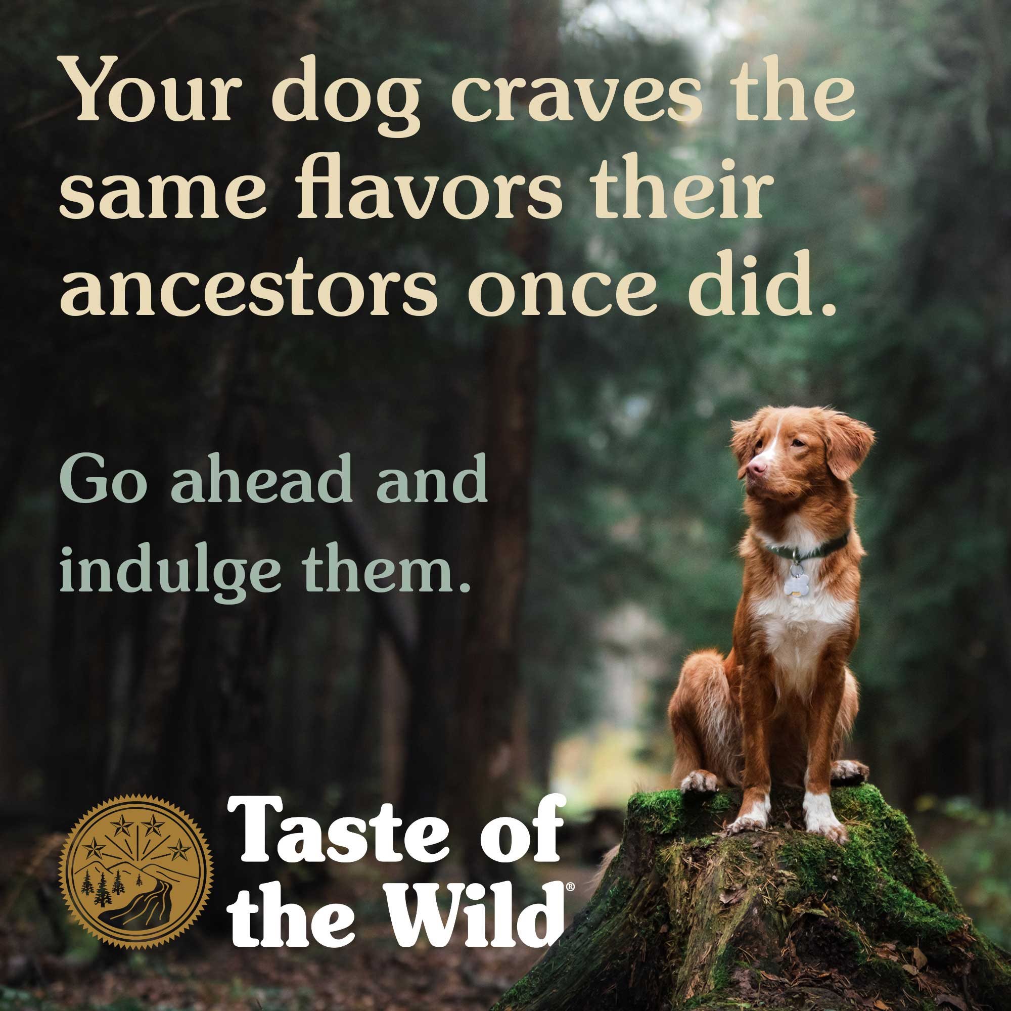 Granule taste of the best sale wild puppy