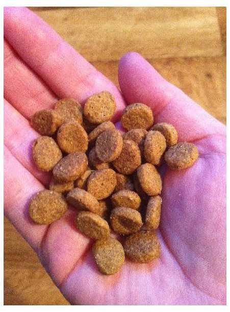 Taste of the wild kibble sale size