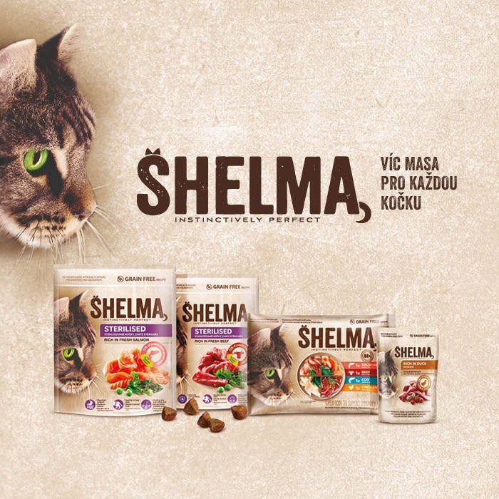 Shelma Cat Food Pouch 4 Types of Meat 12 85g Cat Food Pouch