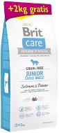 Brit Care Grain-free Junior Large Breed Salmon & Potato 12 + 2 kg - Granuly pre psov