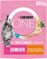 Kibble for Kittens Purina ONE BIFENSIS Junior with Chicken and Wholegrain Cereals 800g - Granule pro koťata