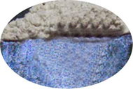 EKOKOZA Mica white with blue gloss - Cosmetic Dye