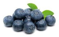 EKOKOZA Blueberry scent - Essential Oil